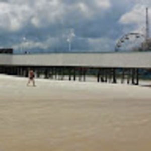 Meet your Posher, Fred